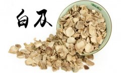 白及的產(chǎn)地是哪里？白及的用法、用量與禁忌