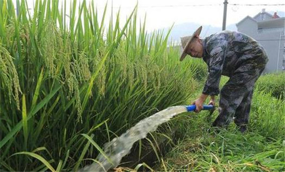 科學管水、防止早衰