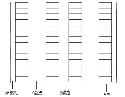 獺兔的養(yǎng)殖技術(shù)