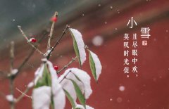 小雪節(jié)氣是什么意思，小雪節(jié)氣吃什么食品？