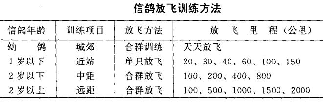 信鴿的飼養(yǎng)與訓練