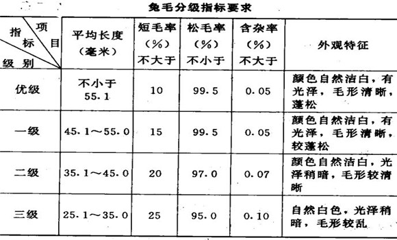 長毛兔兔毛的分級標準