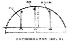 塑料中棚加外覆蓋能明顯使蔬菜早熟，效益高