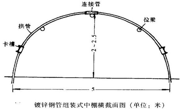 塑料中棚加外覆蓋能明顯使蔬菜早熟，效益高