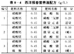 西洋報春無土栽培技術(shù)