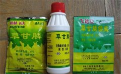 草甘膦除草劑使用范圍，使用多久能生效？