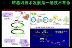 轉基因技術的原理是什么,在農業(yè)上的應用有哪些