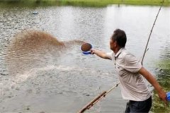 怎樣給魚(yú)體消毒 魚(yú)種藥物浸洗法(藥浴法)簡(jiǎn)介