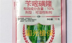 芐嘧磺隆的作用機(jī)制、使用方法與注意事項