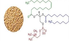 大豆異黃酮對(duì)人體有什么好處 什么食物含量多？